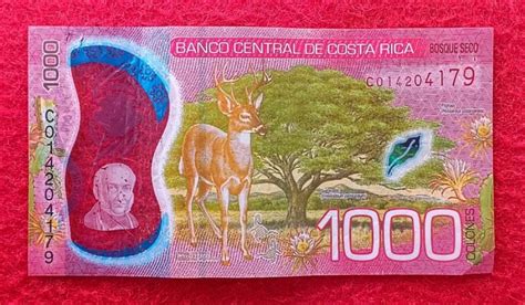 Costa Rica 1000 Colones 2019 Polymer Banknote SNS Coins