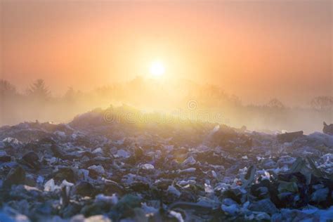 Salida Del Sol Sun Sobre El Oc Ano De La Basura Foto De Archivo