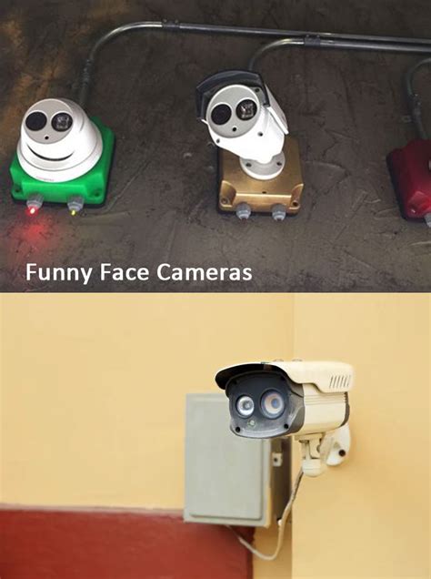 News - Unveiling the Playful Sides of Security Cameras in Daily Lives