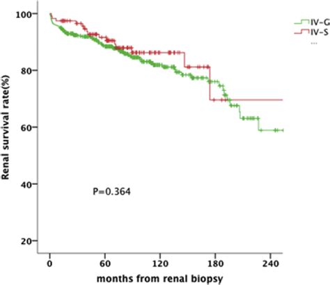 Renal Survival Rates Of Ln Patients With Subclass Iv S And Iv G The Download Scientific