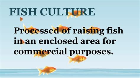 phases   fish culture pptx