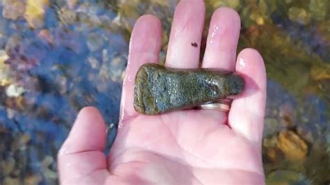 Native American Stone Tools And Artifacts Beautifully Polished Bird