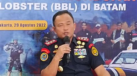 Kkp Gagalkan Penyelundupan Rp M Benih Lobster Di Batam Indonesia