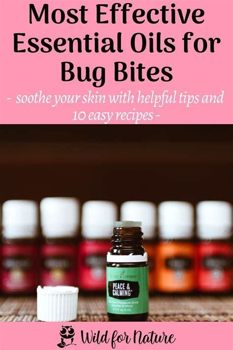 9 Best Essential Oils For Insect Bites 10 Diy Bug Bite Recipes Wild For Nature