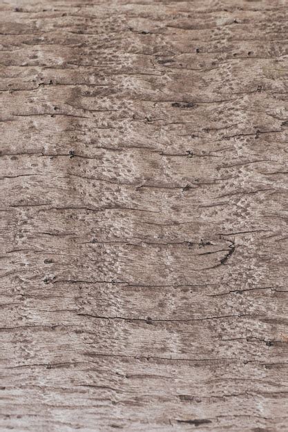 Premium Photo | Wood bark texture in light brown color background for ...
