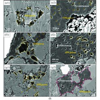 1 SEM Images Of Pyrolysis Samples At Temperatures From 300 To 450