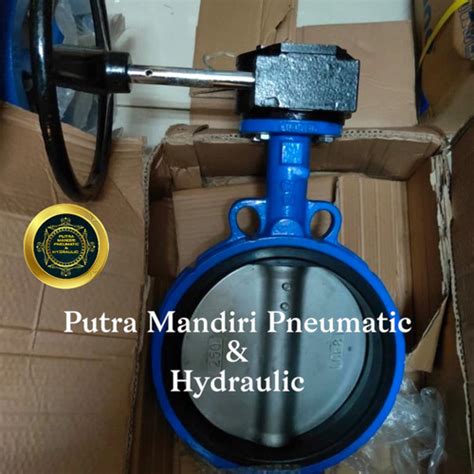 Jual Butterfly Valve Gear Cast Iron Disc Ductile Iron 10 Inch Jis 10k Pn16 Buterfly Valve