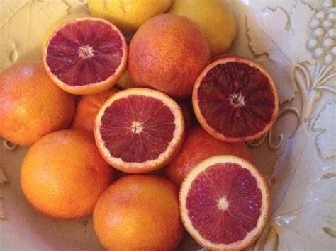 recipes blood oranges 7