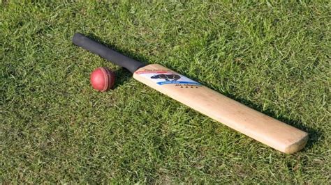 Most Expensive Cricket Bat Axycube Solutions Pvt Ltd