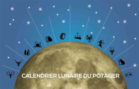 Calendrier Lunaire Pour Jardiner Voici Tout Ce Quil Faut Savoir