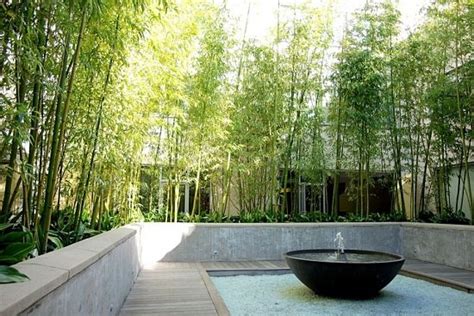 70 bamboo garden design ideas – how to create a picturesque landscape