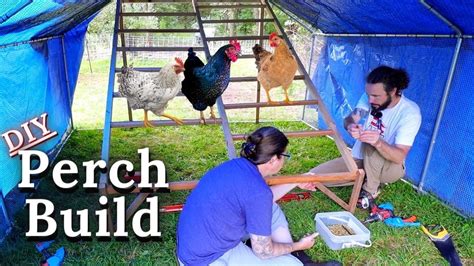 Diy Chicken Roost Ladder And The Great Chicken Shuffle Begins Youtube