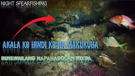 Spearfishing Philippineseps 18 Night Spearfishing Marble Grouper