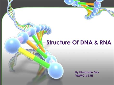 Structure Of Dna And Rna