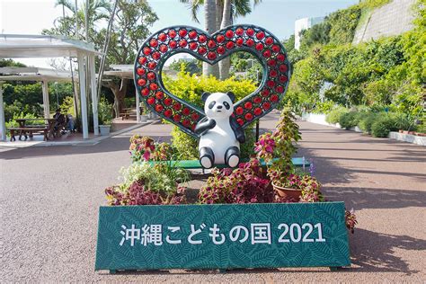 沖縄こどもの国 Okinawa Zoo And Museumオキナワ ズー アンド ミュージアムの観光ガイド 沖縄県沖縄市胡屋5 7 1