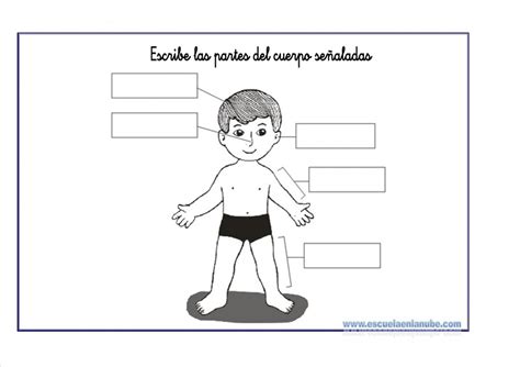 Fichas Infantiles Fichas Del Cuerpo Humano Para Infantil Porn Sex Picture