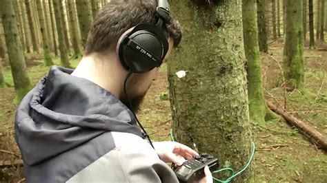 Forscher hören in den Wald hinein 17 30live Rheinland Pfalz Hessen