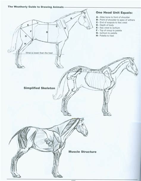 Assignment List: Quadruped Creature