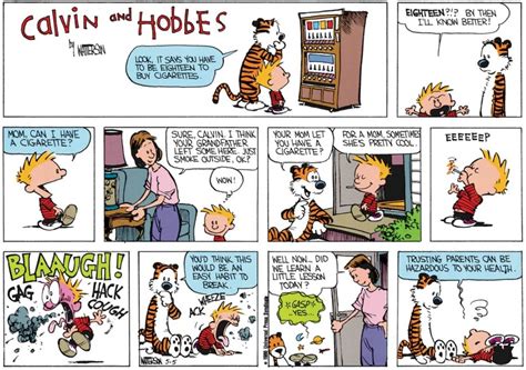 The Funniest Calvin And Hobbes Comics Of All Time