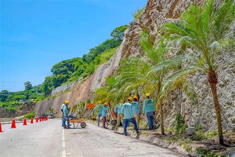 El FOVIAL ha sembrado 14 mil árboles en camino a Surf City Diario El