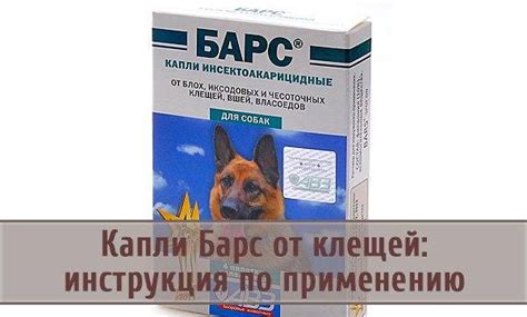Барс капли от блох и клещей для кошек - инструкция по применению