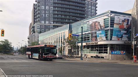 341 Keele Blue Night Bus: Schedule and Route Map 4