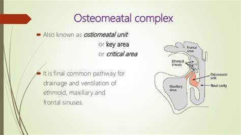 Left Ostiomeatal Complex