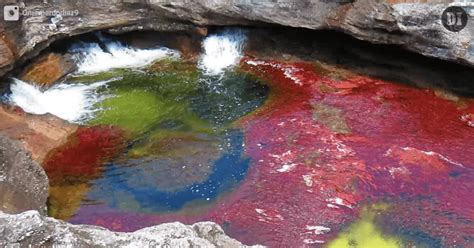 This Vibrant River Is Known As ‘the Liquid Rainbow’