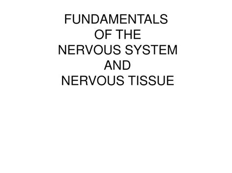 Ppt Fundamentals Of The Nervous System And Nervous Tissue Powerpoint