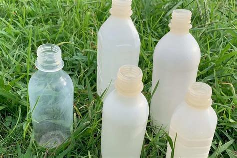 Biodegradable water bottles - greentechgeek.com