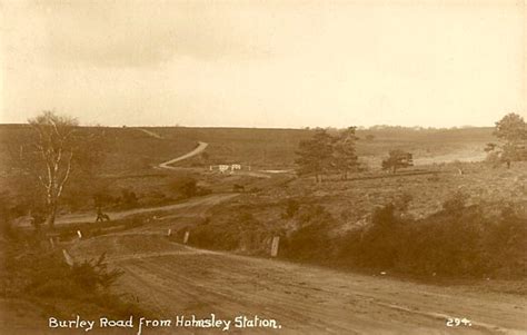 The Old Holmsley To Burley Road New Milton An Online Record