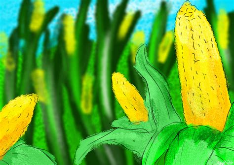 Corn field by AngryBirdDudeYT on DeviantArt