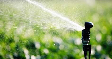 Sistema De Riego En Plantas Agrícolas De Riego Funcional Imagen de