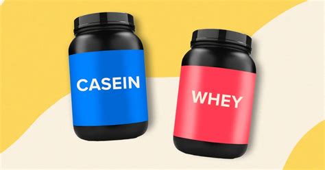 Casein Versus Whey Protein: How to Fuel for Gains