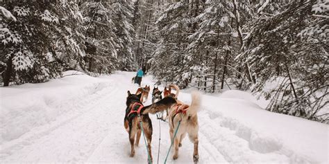 5 Must-Try Outdoor Activities to Explore in Muskoka This Winter