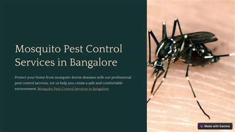 PPT Mosquito Pest Control Services In Bangalore PowerPoint