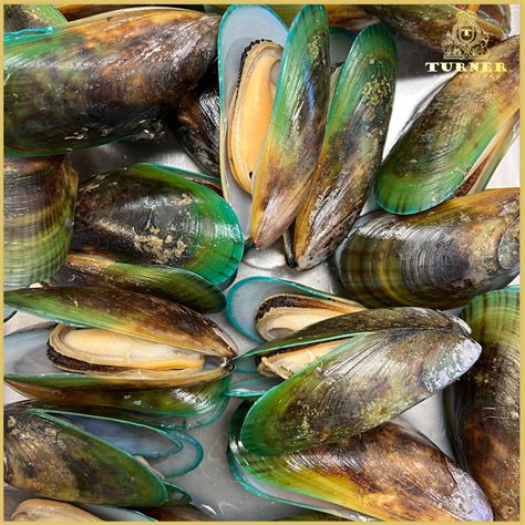 How To Make New Zealand Mussels
