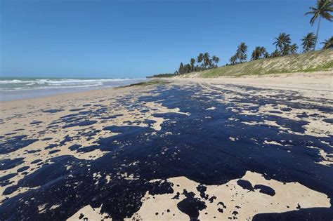 Manchas De Leo Voltam A Aparecer Em Praias Do Nordeste Brasileiro