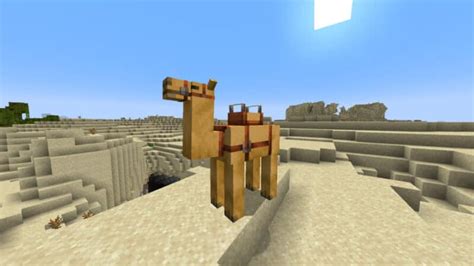 Minecraft How To Tame And Ride Camels Gamer Empire