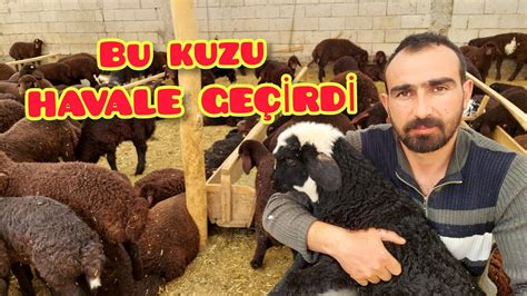 HAVALE GEÇİREN KUZUYU SOĞUK SU İLE YIKADIM SEYYAR SATICI çerçi GELDİ