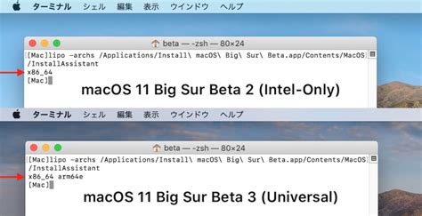 Macos 11 Big Sur Beta 3ではインストーラーがintelのx8664とapple Siliconのarm64対応の