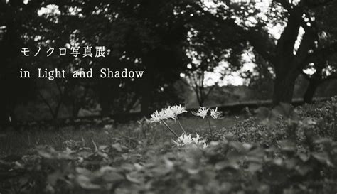 モノクロ写真展「in Light And Shadow」出展者募集（東京＆京都） 東京・世田谷京都・大山崎 写真と余白の店 ナダール