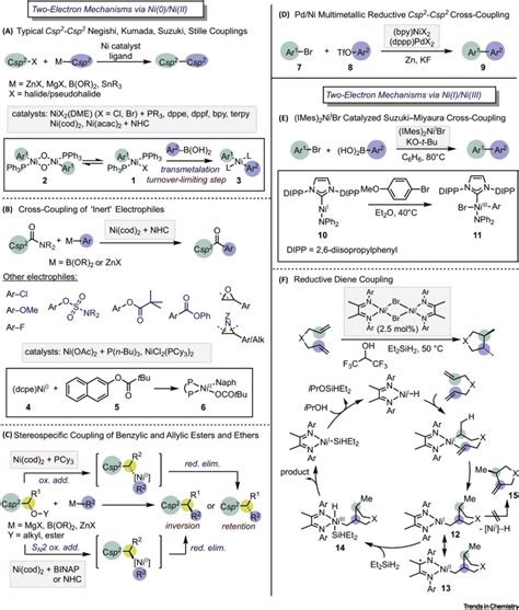 Mechanisms Of Nickel Catalyzed Cross Coupling Reactions Trends In