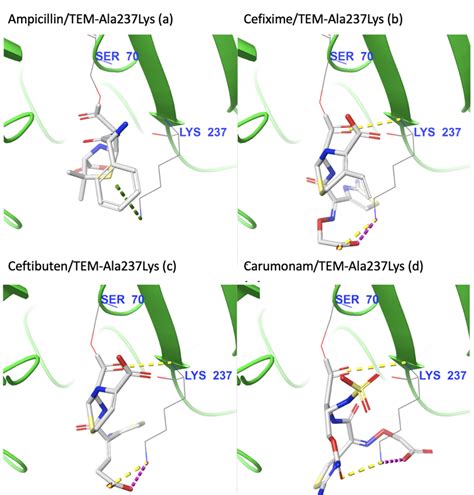 Visual Inspection Of The Intermolecular Interactions With Lys For