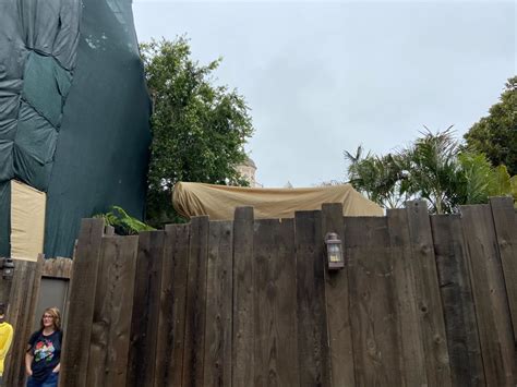 Entrance Of Tarzans Treehouse Almost Completely Demolished For New