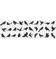 Bird And Twig Silhouettes Cute Birds And On Vector Image