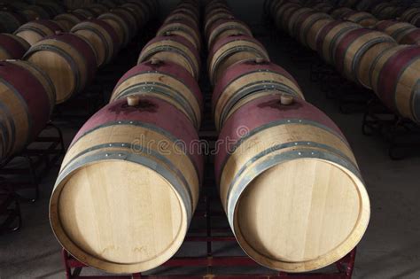 Wine barrels stock photo. Image of cylinder, container - 15595878