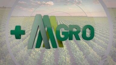 Assistir Agro Mt Assista Na Ntegra Ao Bloco Do Agro Mt Online