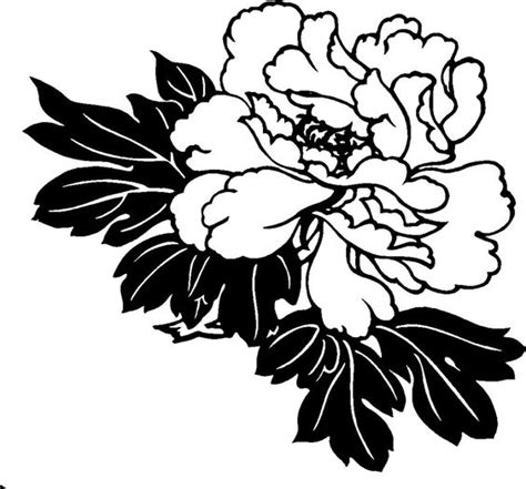 Floral hawaiian flower clipart black and white clip art – Clipartix