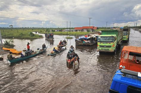 Jalur Bukit Rawi Masih Banjir Di Palangka Raya Balita Ditemukan